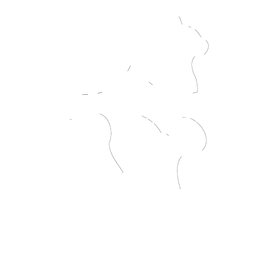Zoo Veterinary Center